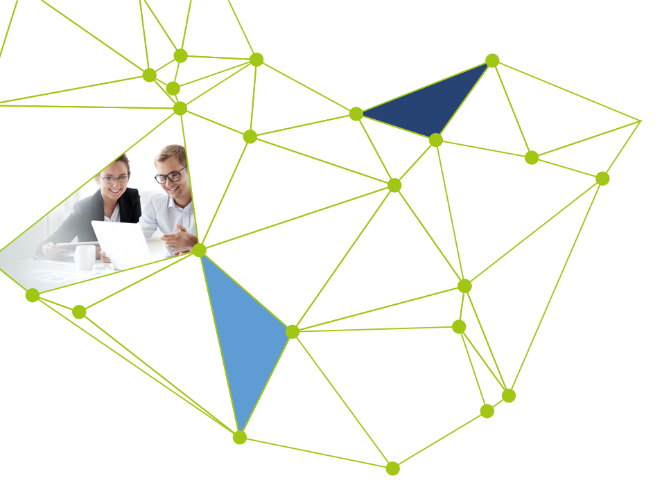 Sinapse - connecting people and systems, 1