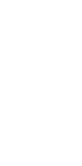 Sinapse grid
